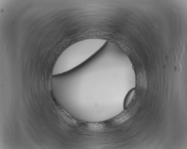 X0000080720234200612150846