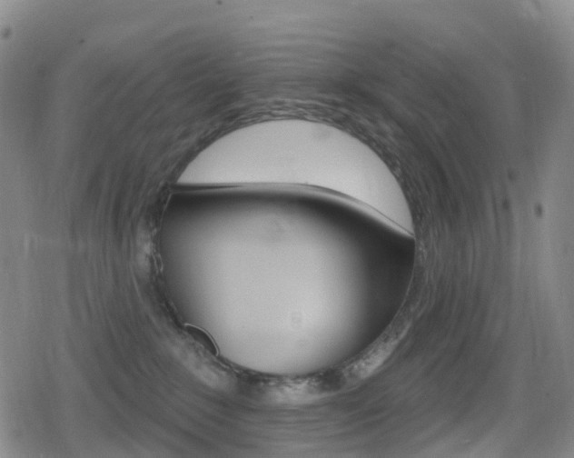 X0000080720235200612150846