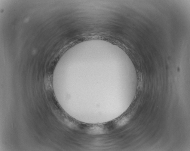 X0000080720236200612150846