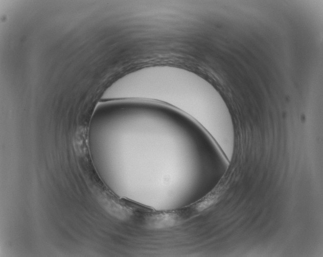 X0000080720237200612150846