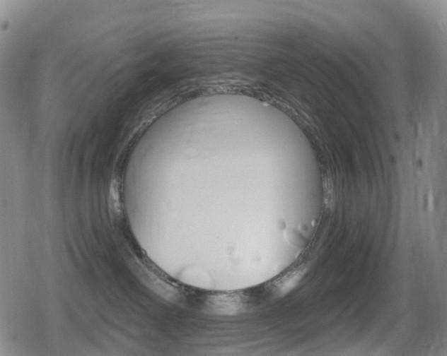 X0000080720238200612150846