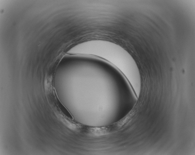 X0000080720239200612150846