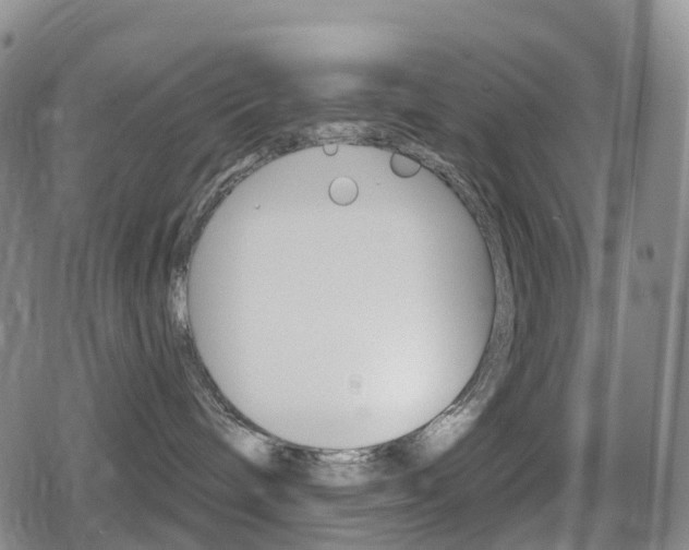 X0000080720240200612150846