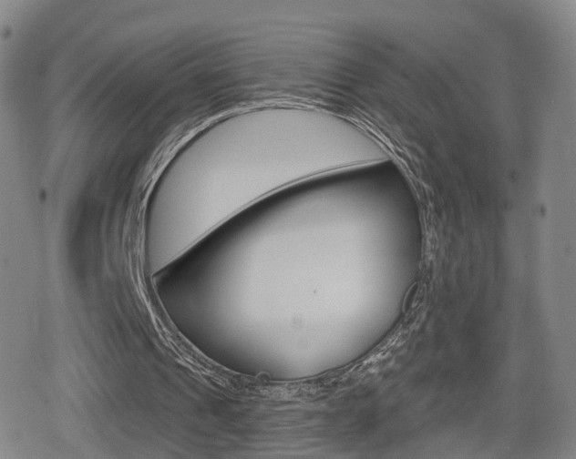 X0000080720241200612150845