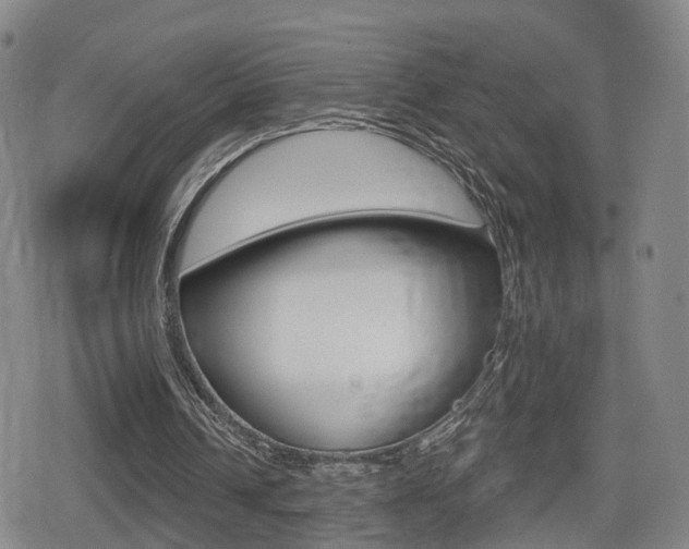 X0000080720242200612150845