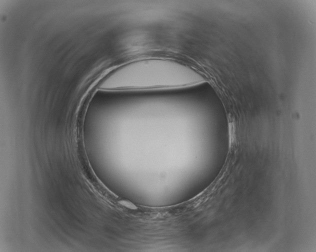 X0000080720243200612150845