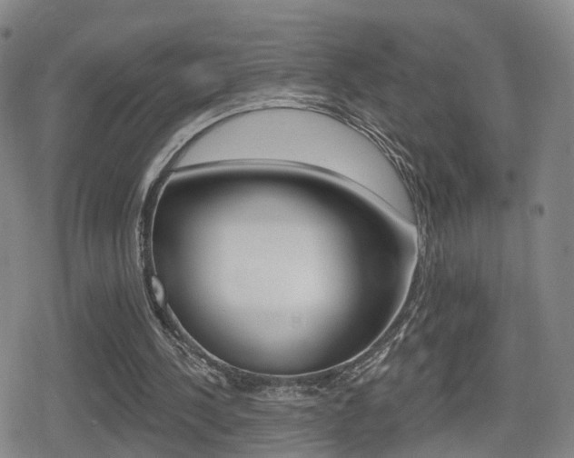 X0000080720244200612150845