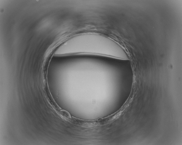 X0000080720245200612150845