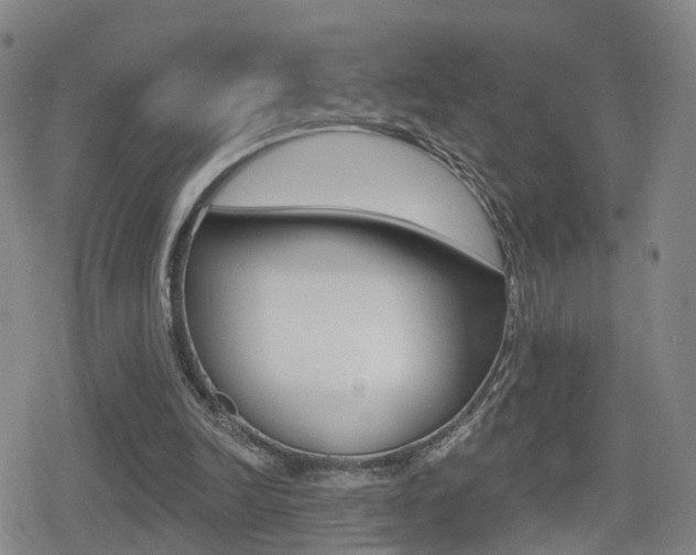 X0000080720246200612150845