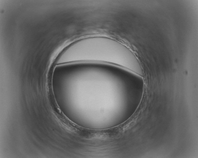 X0000080720248200612150845