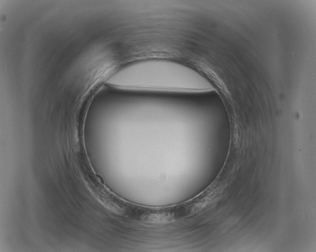 X0000080720251200612150845