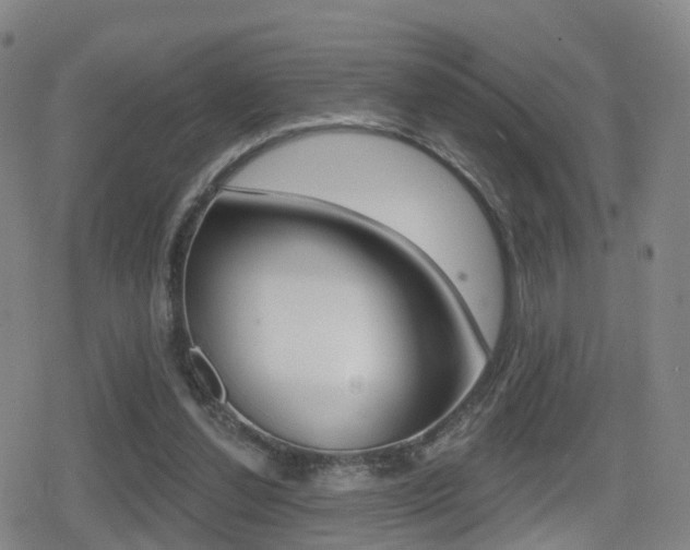 X0000080720252200612150845