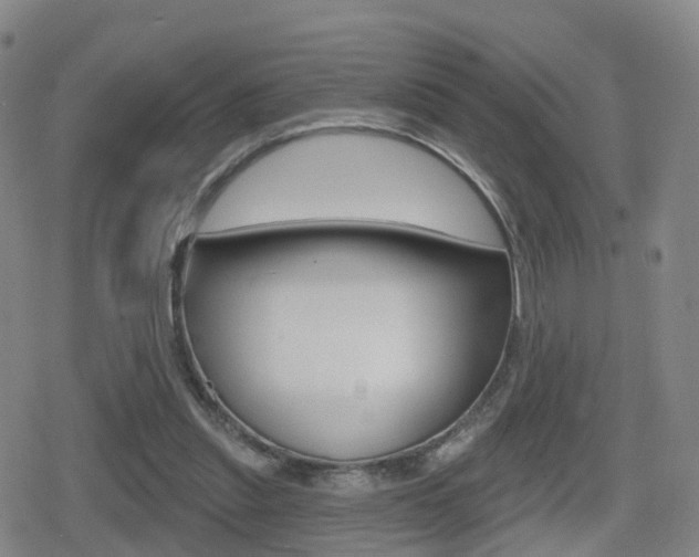 X0000080720253200612150845