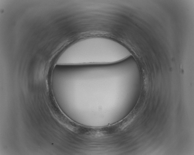 X0000080720254200612150845