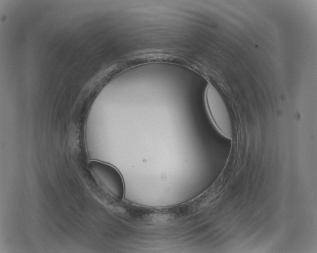 X0000080720255200612150845