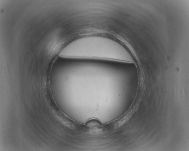 X0000080720257200612150845