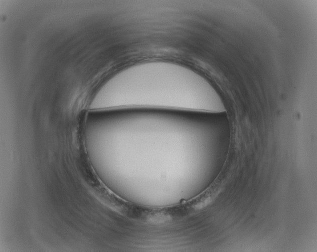 X0000080720258200612150845