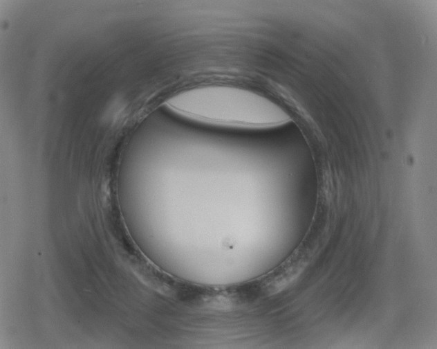 X0000080720259200612150845