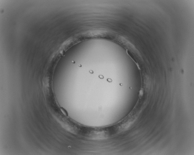 X0000080720260200612150845