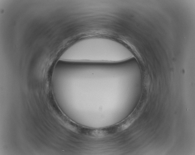 X0000080720261200612150845