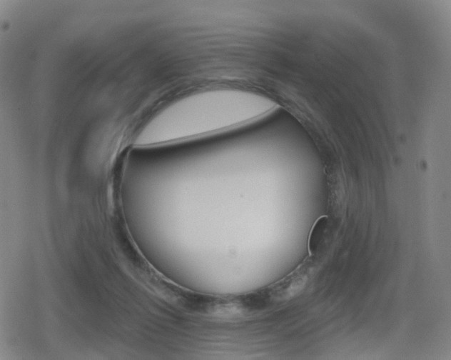 X0000080720262200612150845