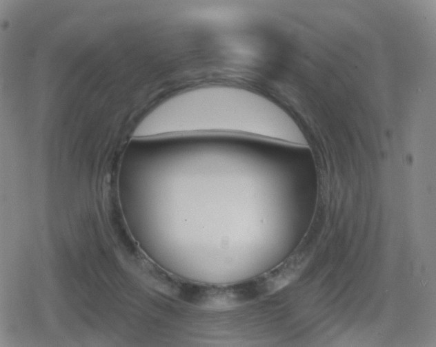 X0000080720263200612150845