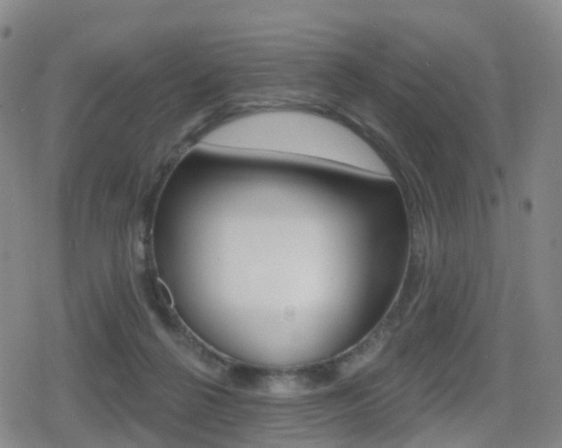 X0000080720264200612150845