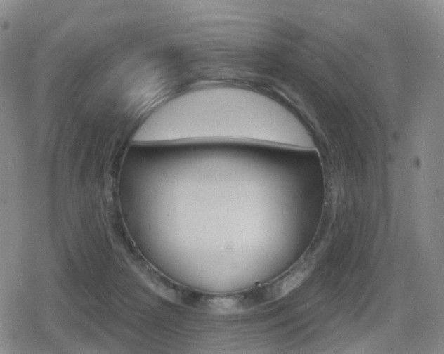 X0000080720265200612150845