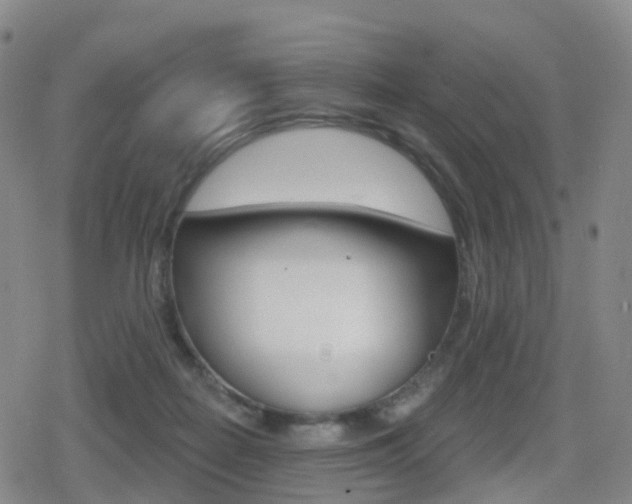 X0000080720266200612150845