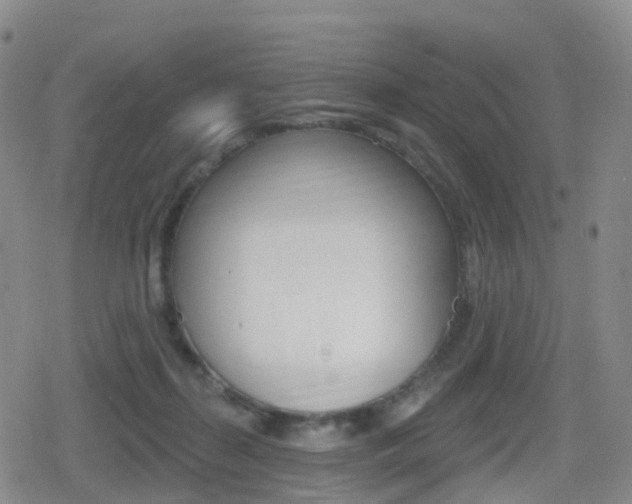 X0000080720267200612150845