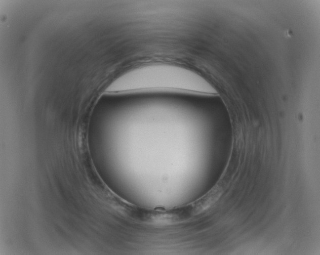 X0000080720268200612150846