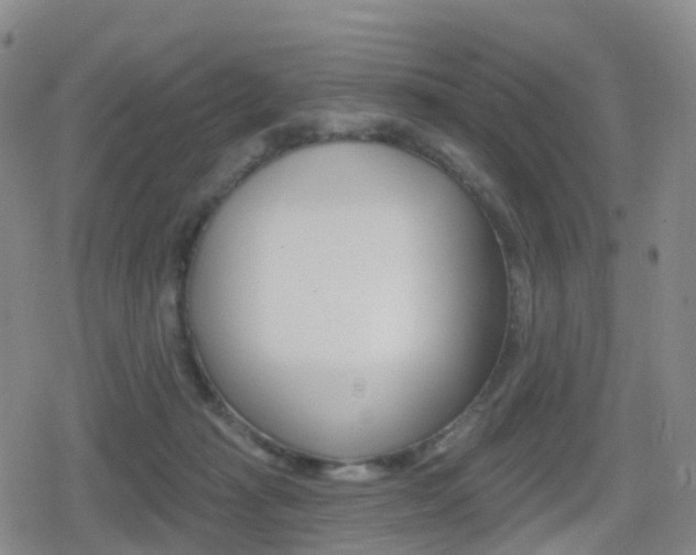 X0000080720269200612150846