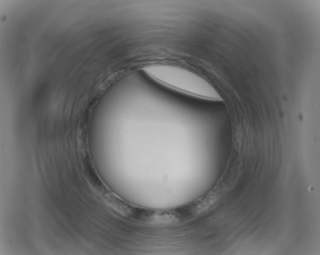 X0000080720270200612150846