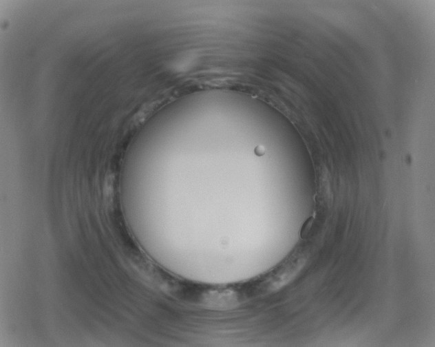 X0000080720271200612150846