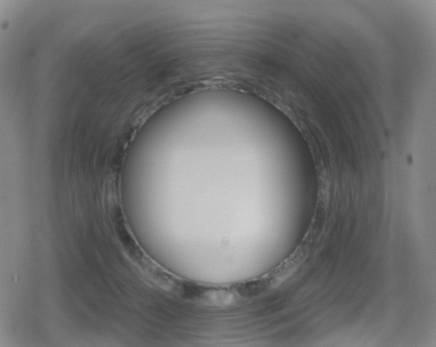 X0000080720272200612150846