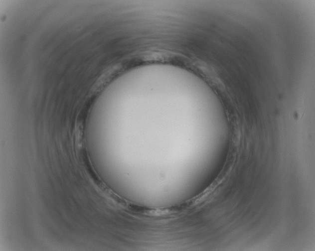 X0000080720273200612150846