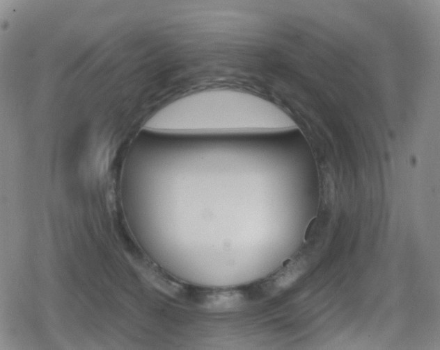 X0000080720274200612150846