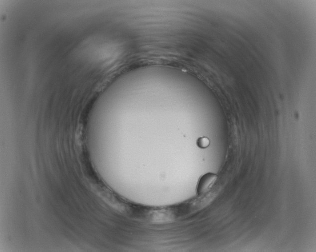 X0000080720275200612150846