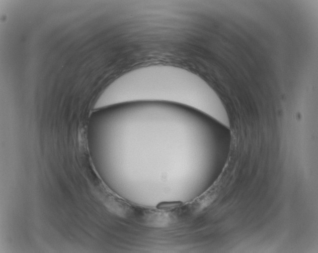 X0000080720276200612150846