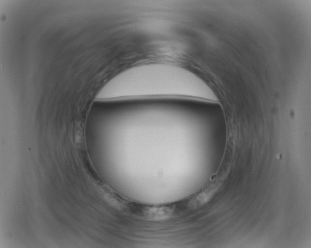 X0000080720277200612150846