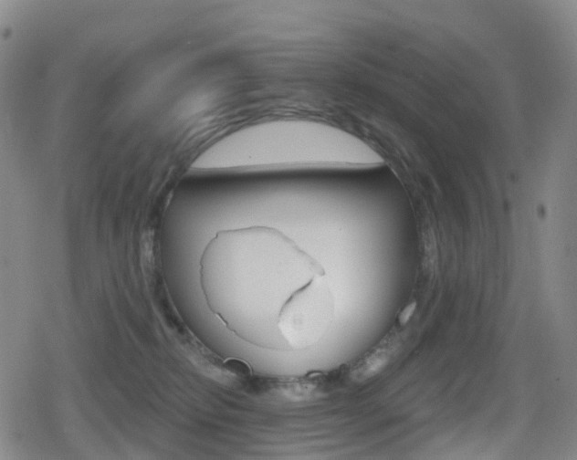 X0000080720278200612150846