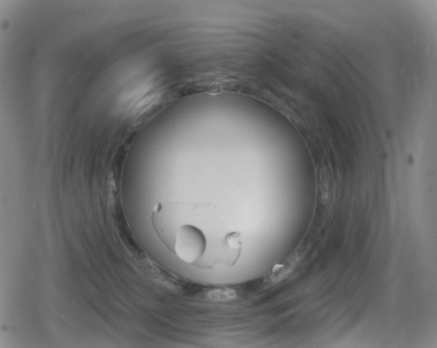 X0000080720279200612150846