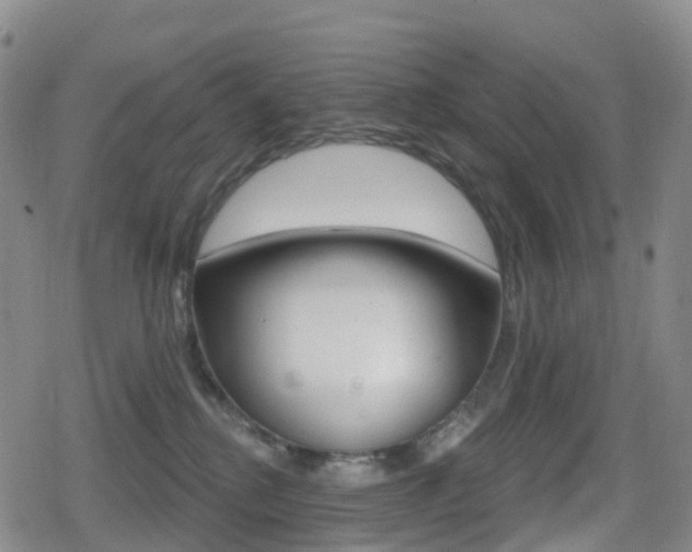 X0000080720280200612150846