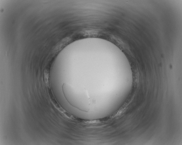 X0000080720281200612150846