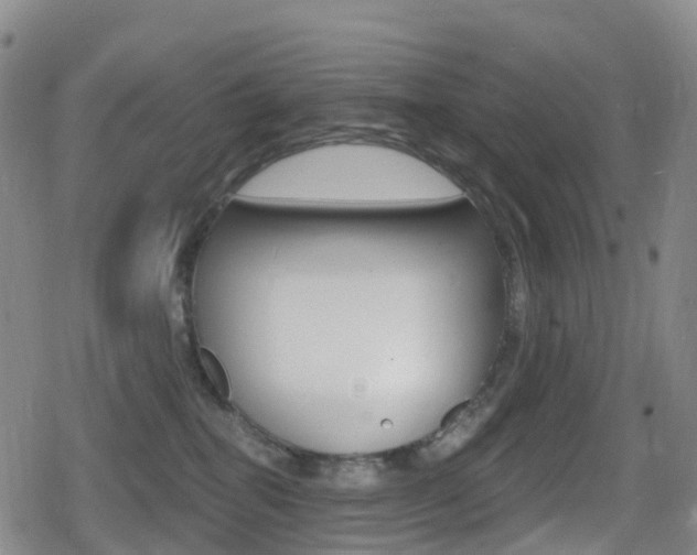 X0000080720282200612150846