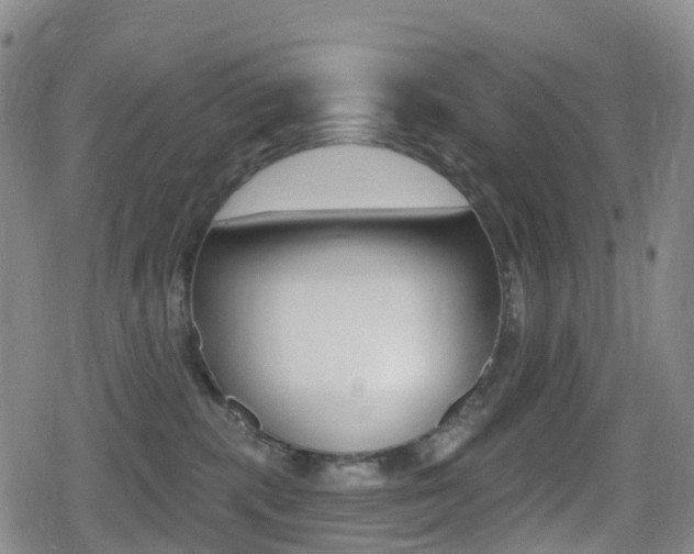 X0000080720283200612150846