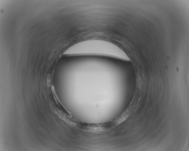 X0000080720284200612150846