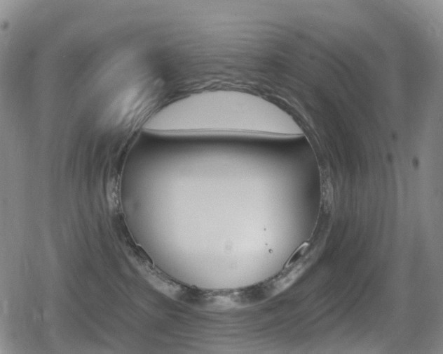 X0000080720285200612150846