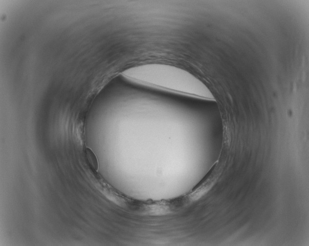 X0000080720286200612150846