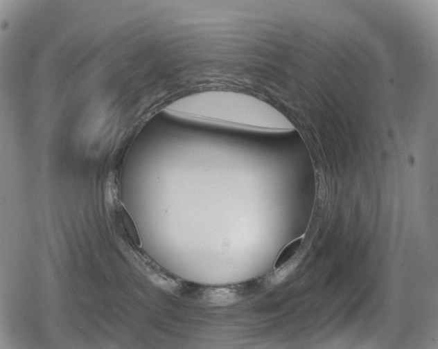 X0000080720287200612150846